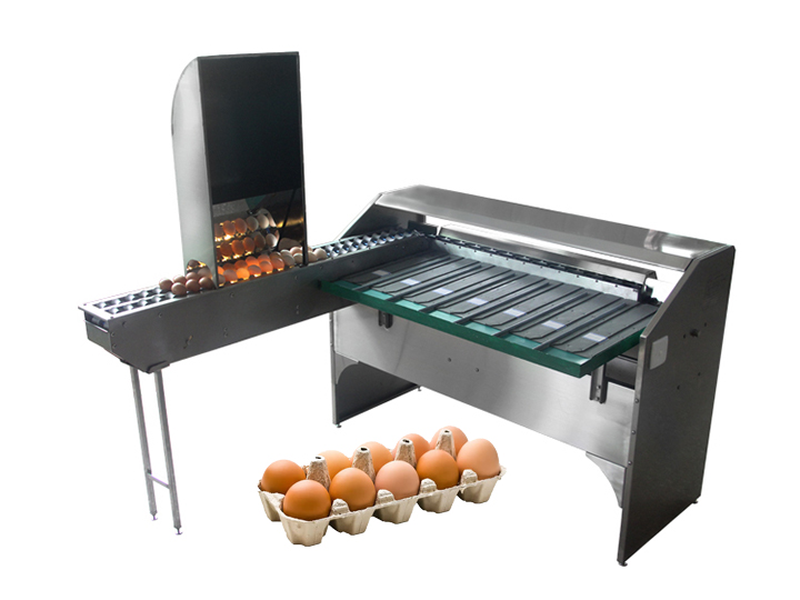 TZ-4000 small egg grading machine