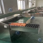 automatic egg grading machine