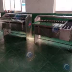 egg grader machine