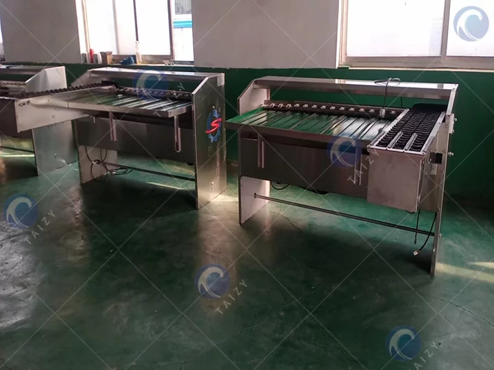 egg grader machine