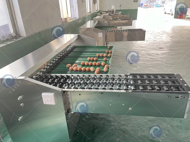 انڈے کی گریڈر