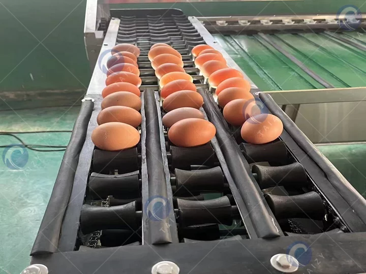 egg grading machine for sale