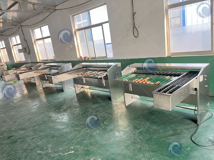 egg grading machine price