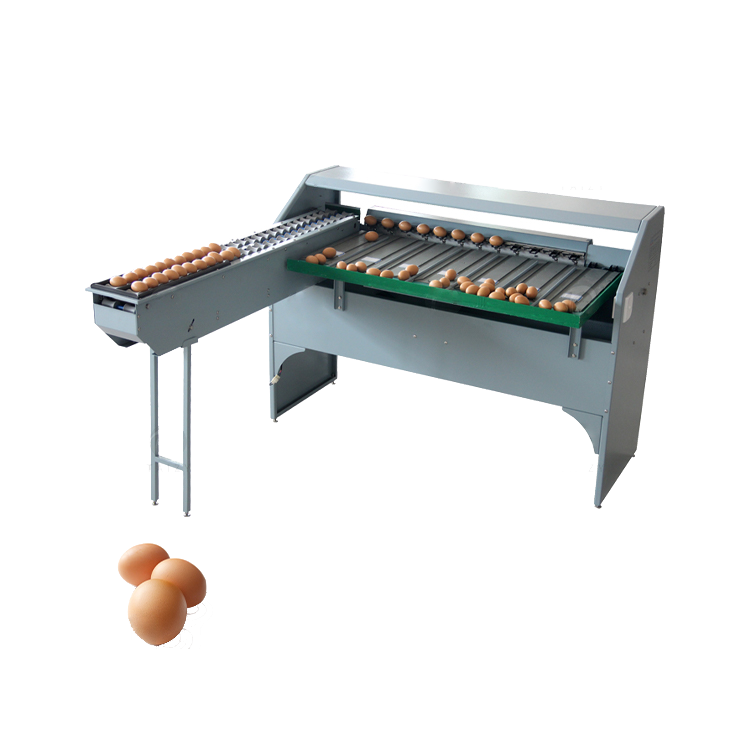 egg grading machine