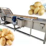 fruit and vegetable washing machine