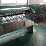 industrial egg grading machine