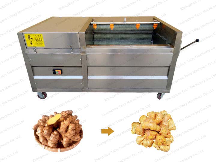 ginger washing and peeling machine