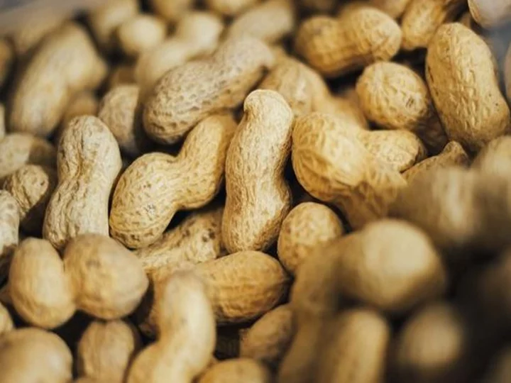 peanut as raw materials