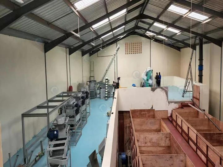 Commercial macadamia nuts processing line