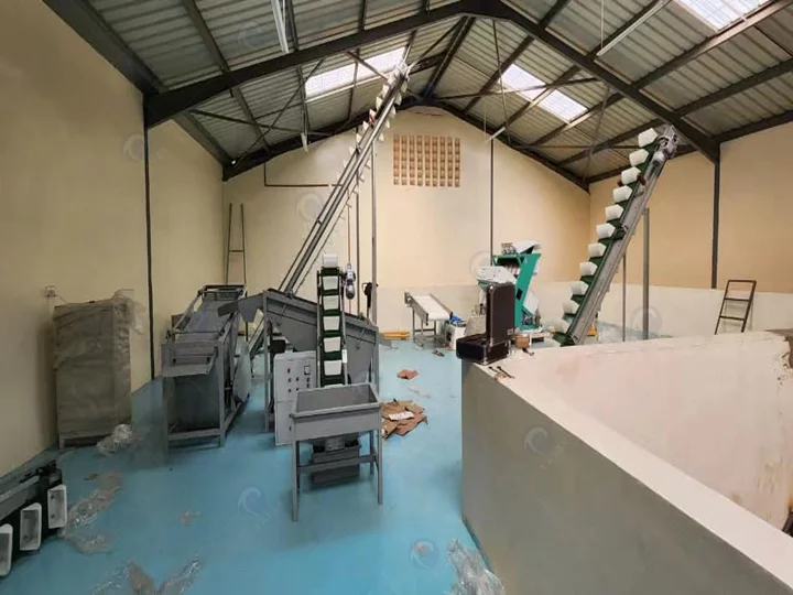 brand-new macadamia nuts processing line