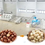 macadamia nuts processing line