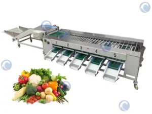 Fruit and vegetable grading machine