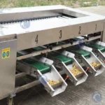 Roller Bar Type Fruit and Vegetable Grading Machine