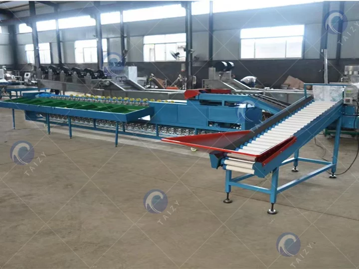 commercial Weight-based Fruit and Vegetable Grading Machine