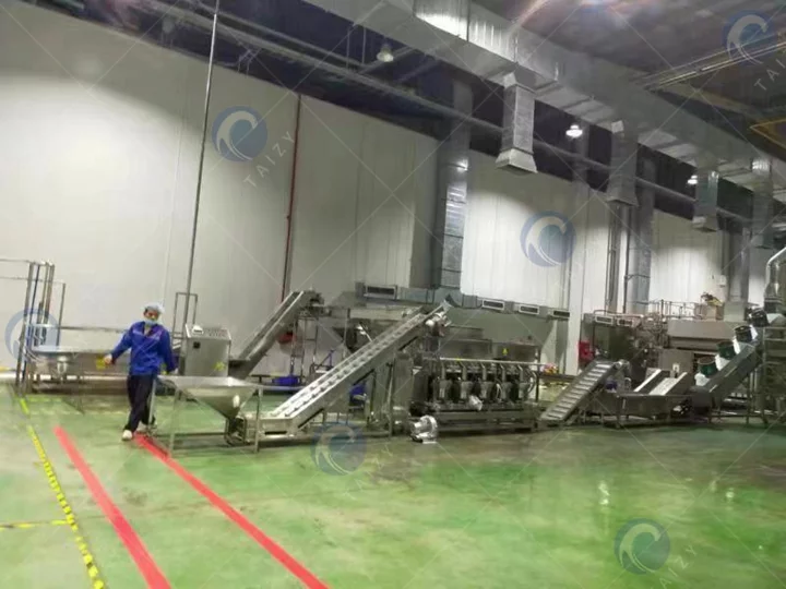 high capacity Hazelnut cracking processing line