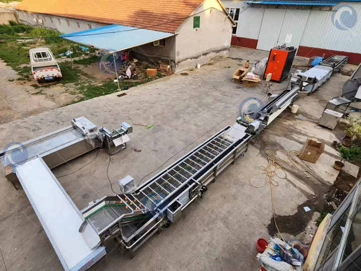 Machine de traitement des pattes de poulet à bon prix