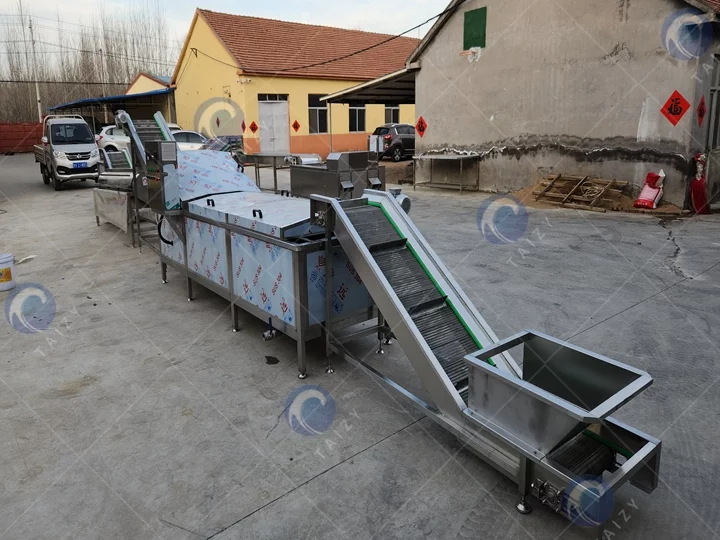 Chicken Feet Processing machine