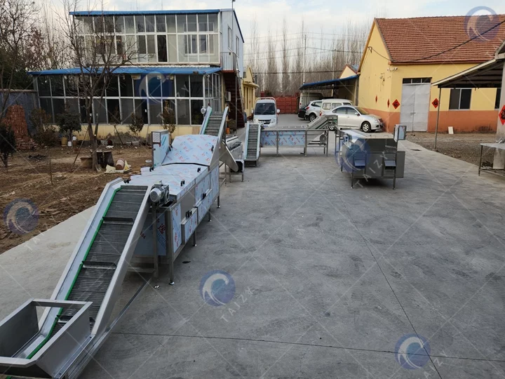 high capacity Chicken feet processing plant