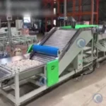 Garlic Grading Machine