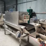 Garlic processing line