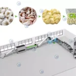 Garlic separating and peeling production line