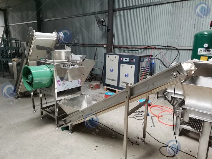 Garlic separating and peeling production line for sale