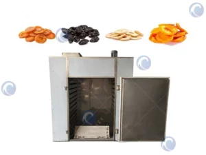 Food drying machine