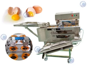 Egg white yolk separating machine