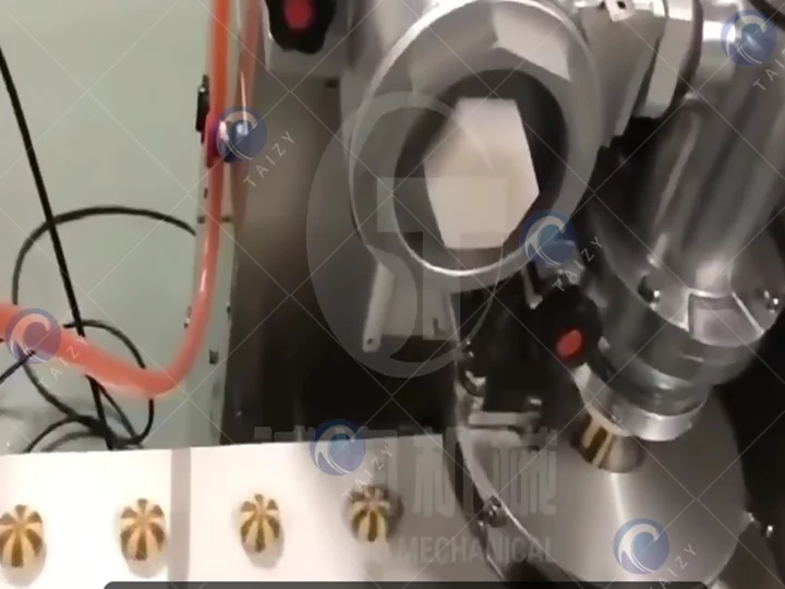 Automatic encrusting machine in working