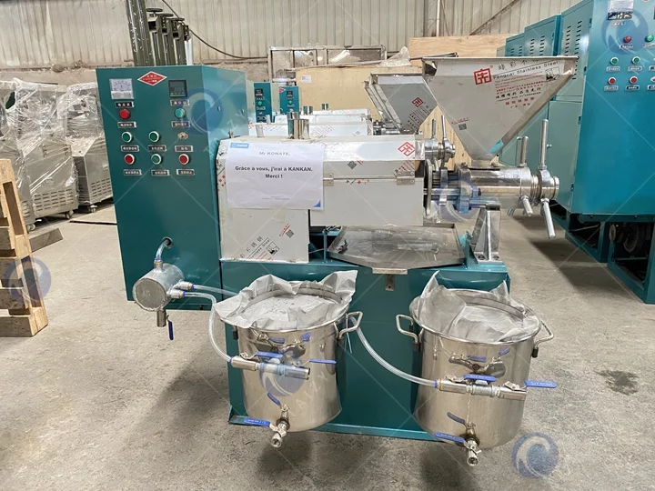 Screw oil press machine for sale
