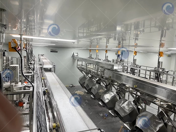 Spicy Snack Stick Making Machine Plant