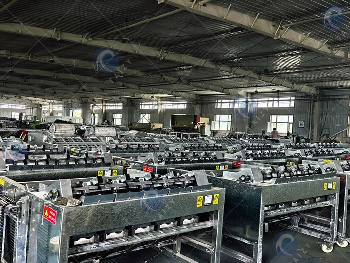 Green walnut shell peeling machine in stock