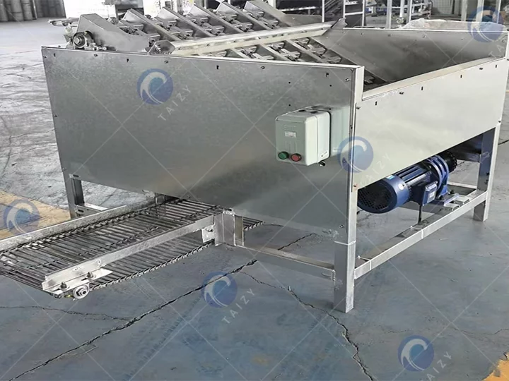 commercial Green walnut shell peeling machine