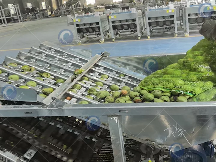walnut processing machine