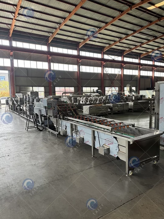 Fruit washing machine plant