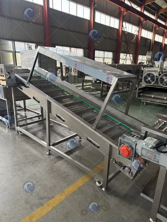 Fruit washing machine plant exported
