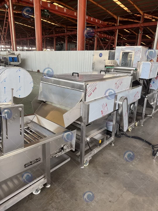 Fruit washing machine plant price