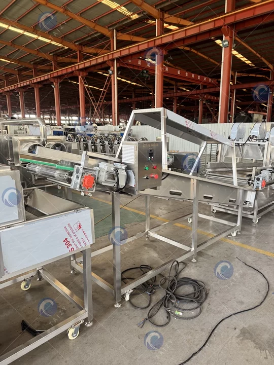 Fruit washing machine plant supplier