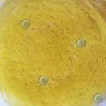 Lace rice crepe