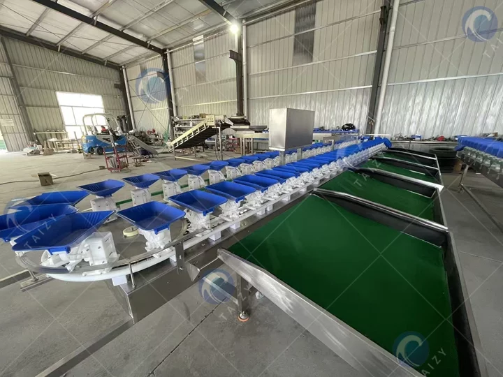 fruit sorting machine