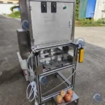 orange peeling machine for sale