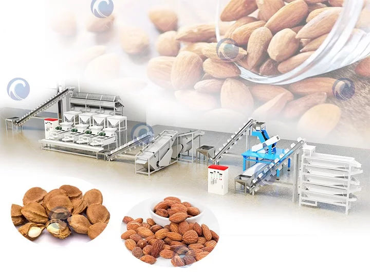 Almond Cracking Machine Production Line
