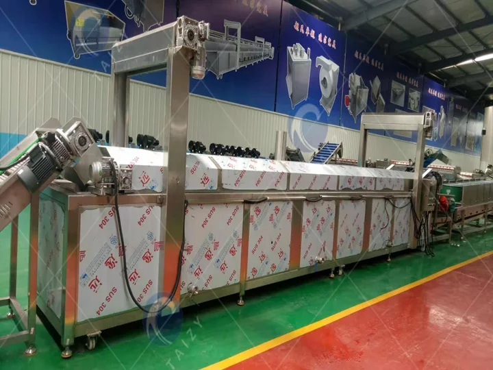 Automatic Fryer Machine