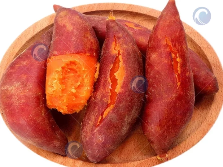 Sweet Potato