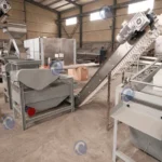 almond cracking machine manufacturer