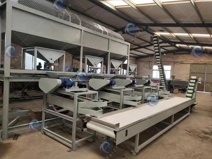 almond cracking machine supplier