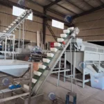 almond shell separator machine exported