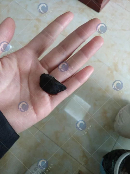 black garlic processing
