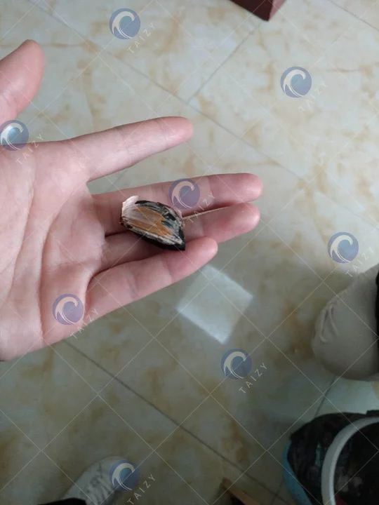 black garlic